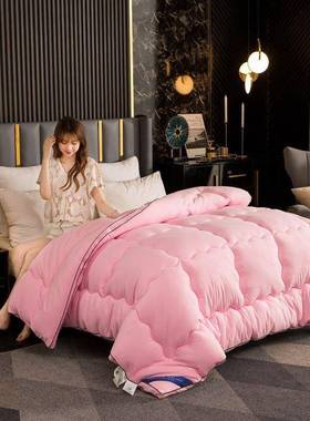 被子冬天保棉被被加WDT厚暖春秋冬季丝冬棉被单人双太空被芯厂家