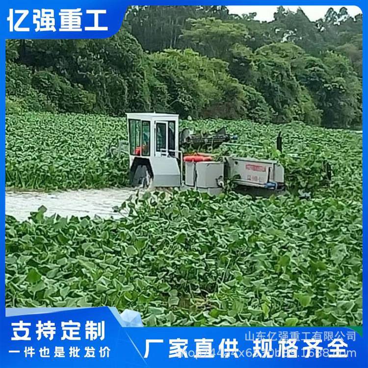芦苇收割船河面水面垃圾打捞装置 中型自动漂浮树枝清理设备