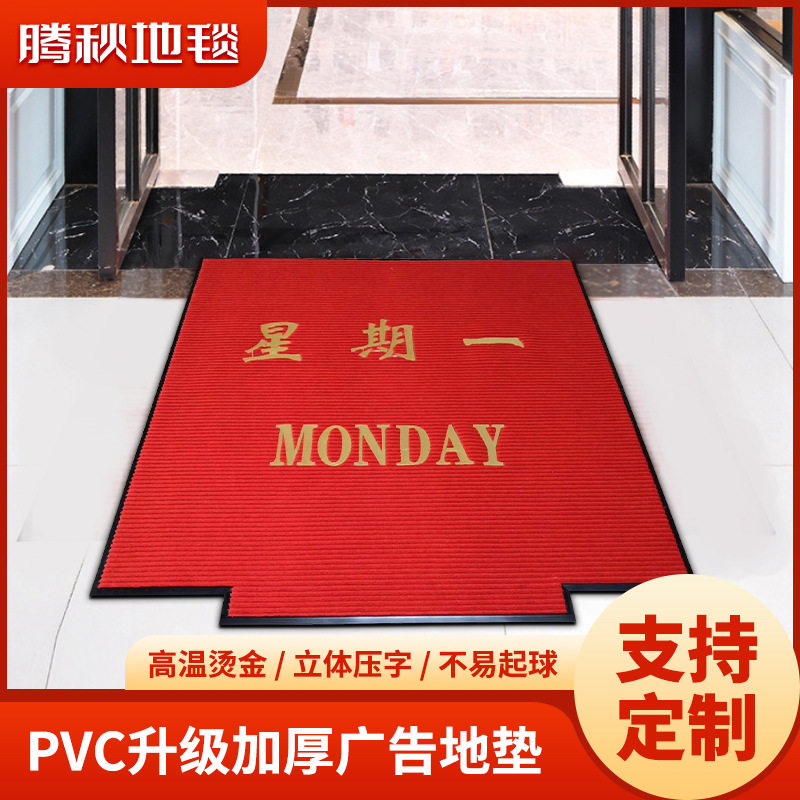 地毯卧室客厅厨房地垫入户门垫塑料丝圈地垫吸水防滑浴室地垫商用