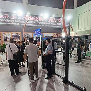 式板球场667围PdelProFaullPanoramic防护网热镀锌钢国标网出口