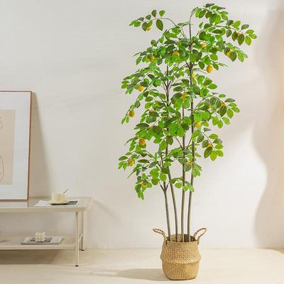 仿tb-73317真柠树盆檬栽室内家居客地厅型假绿大植装饰柠檬树造景