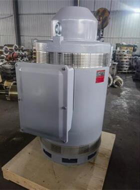 400伏 60赫兹 NEMA VHS5008P-4 立式空心轴三相感应电机