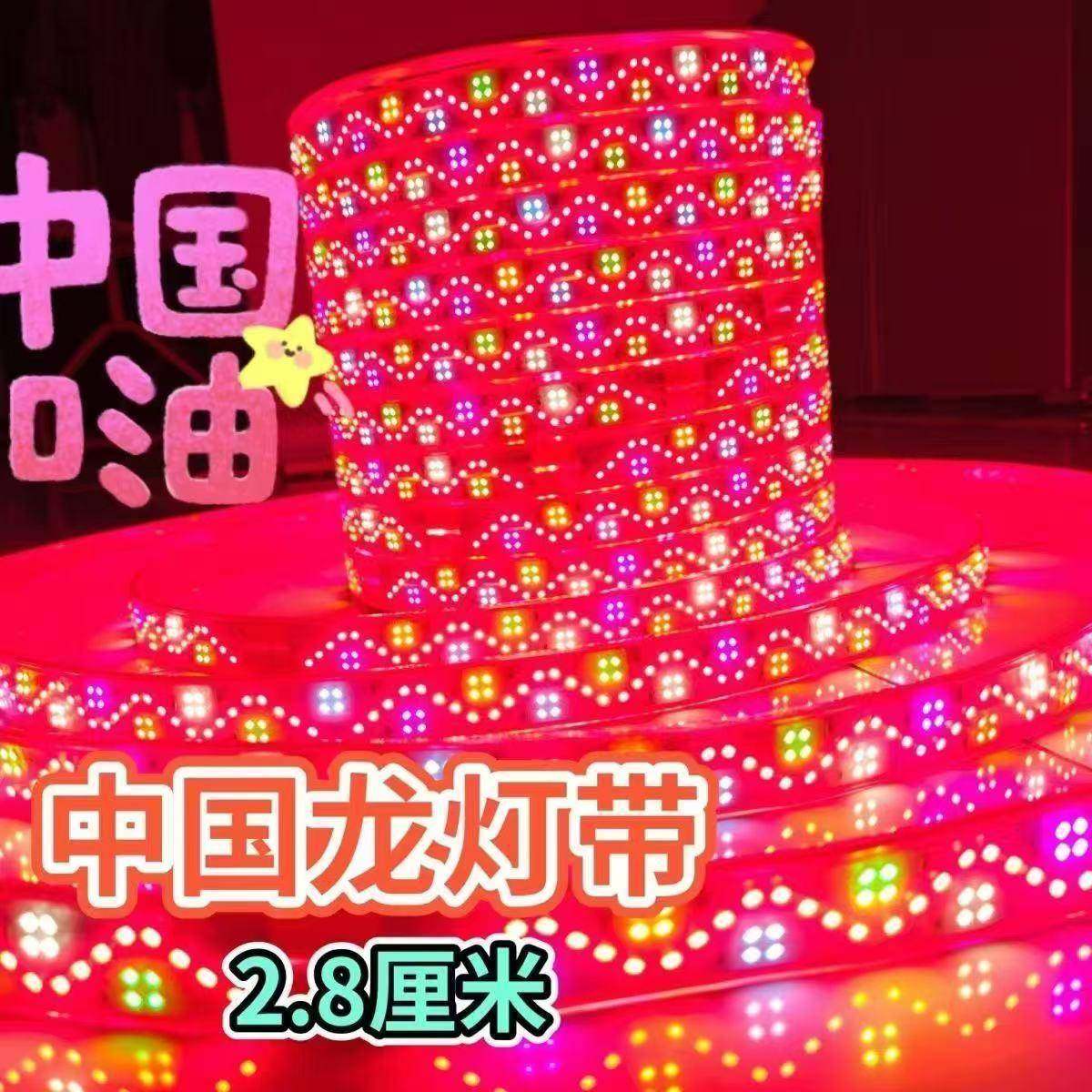 中国龙新带灯皮31红2led灯珠2.8厘米爆闪防跑马灯带水款防冻六彩L