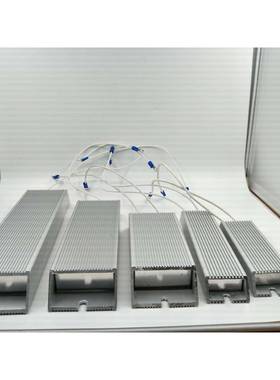 RLG11000W0RJ5R20R30R40HDSR50R60R175R100R刹车制动X电阻