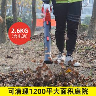 3000W大功率电动吹风机吹吸树叶清理鼓风机吹灰电动除雪除尘神器