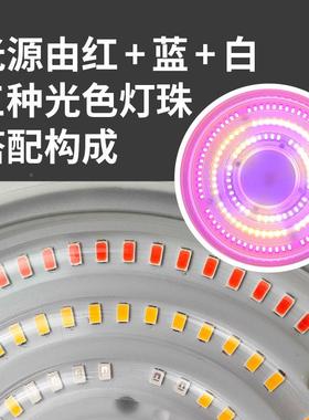 10莓0W大棚植ZSL物生灯蓝樱桃冬枣玫瑰补光用LED全光谱压铸长水防