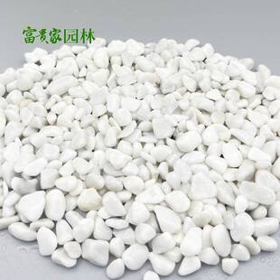 广东白色鹅卵石树坑机制白卵石 富贵家景观铺路石水磨白石子厂批