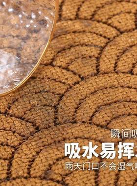 进地垫入AL100456门垫入户门耐脏用进户门吸门水地毯大门家口入户