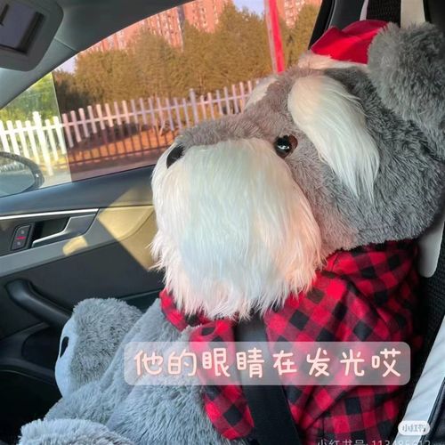 山姆雪纳瑞狗狗公仔圣诞大号毛绒玩具大娃娃女生睡觉抱枕礼物玩偶