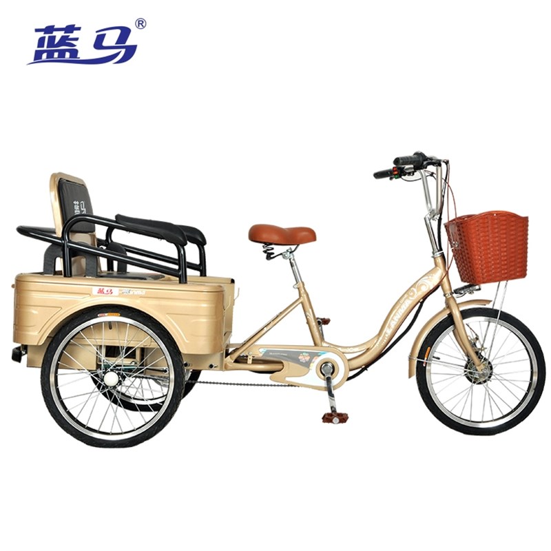 老人电动三轮车人力脚踏助力代步车载人拉货接送孩子锻炼轻便