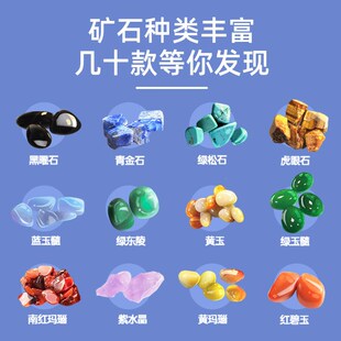 中班科学区区域小实验套装材料儿童探索类玩具幼儿园小班大班投放