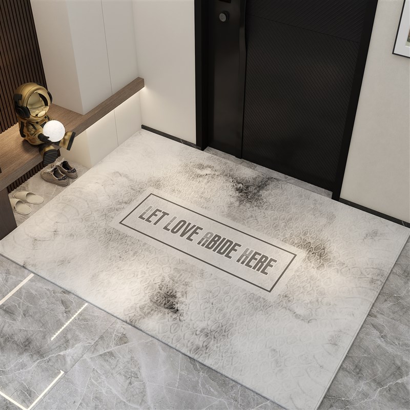 入户门垫进门地垫大门口防滑垫子家用客厅地毯高级定制玄关踩脚垫