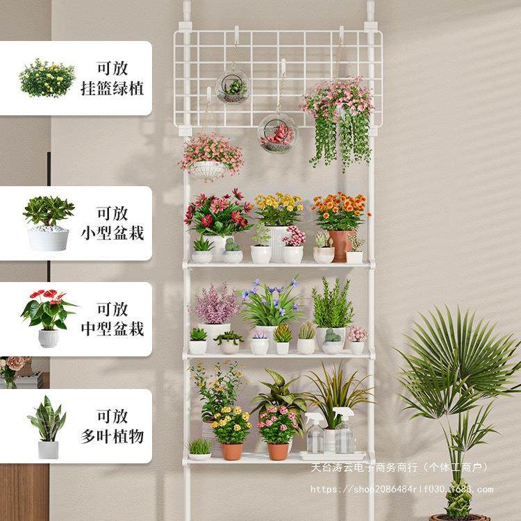 多肉花架置物架阳植JXC台层顶天立地客厅撑杆架展示架室内物摆放,收纳整理,书桌收纳置物架,淘宝优惠券,粉丝福利购,淘宝优惠卷
