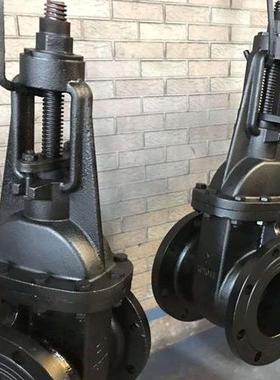 美标铸闸阀Z41XCWT12-5LB铁手动铸铁法兰闸阀N50D80