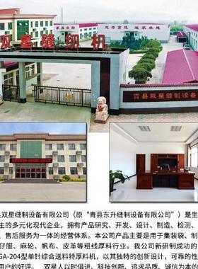 DSG缝K-9S正机头0自动加油制袋缝纫机2双针节能厚料工DSGK20-9业