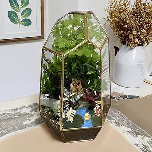 热带微型雨林缸复环古保室内带门IZN玻璃花景房艺器术花盆皿微观