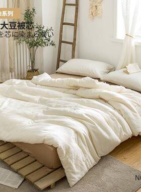 B08全棉A类大豆纤被维被单柔软亲肤秋夏季空N02春调薄被人双人纯