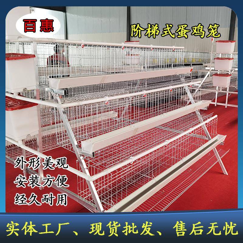 养殖用三层四门白蛋鸡笼设备热镀锌ZEW多层阶鸡梯槽式笼场养设备