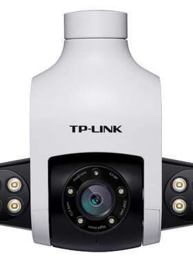 TPTL-IPC646P-A4400万PoE全彩星光室外防水球机4寸646户外