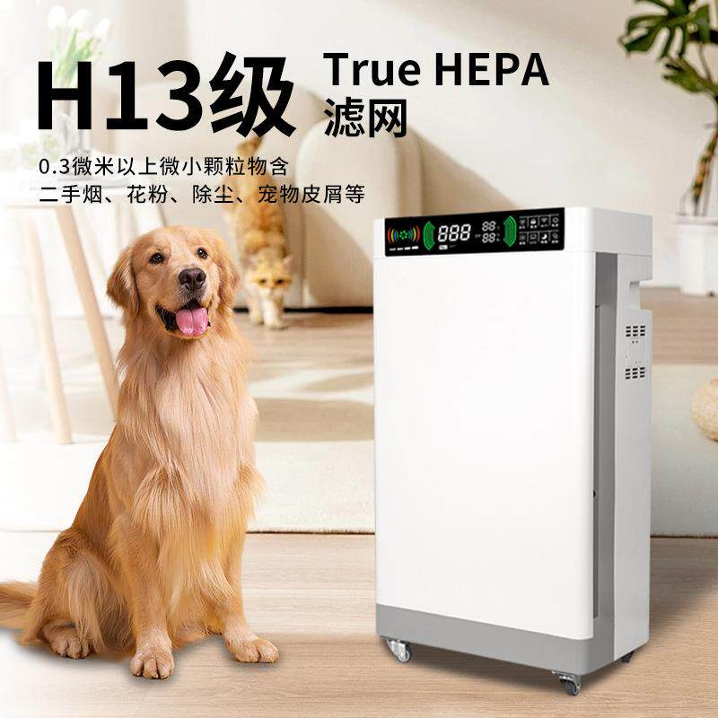 空气消毒机用除甲醛净367除臭紫家外线臭氧毒负离子化器空气消器