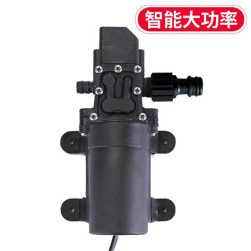 12v2洗车水泵用车载洗车器机20v高压单泵套装水枪家便携式洗车器