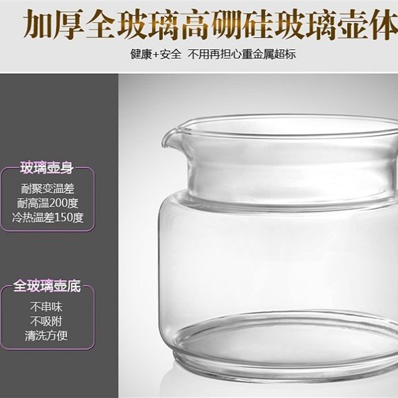 加厚全玻璃养生壶一体式多功能全自动电水煮茶熬药煲汤桦树茸药膳
