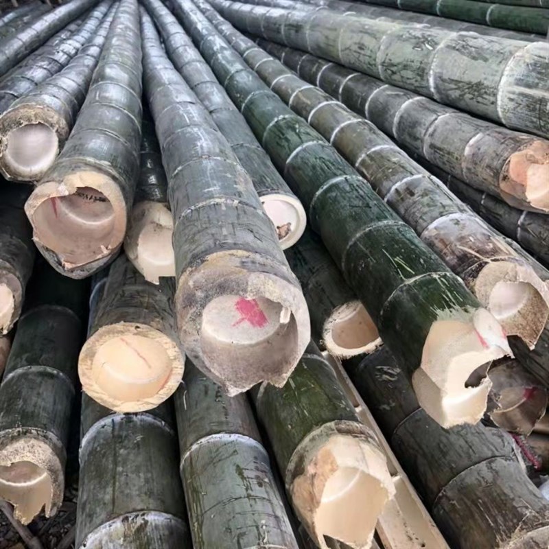 竹梯子直梯2米3米到4米竹梯家用工程电力梯工程梯幼儿园攀爬竹梯