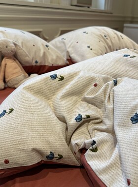 ins田园小碎花加厚磨毛四件套全棉纯棉1.5m1.8米被套Y床单保暖秋