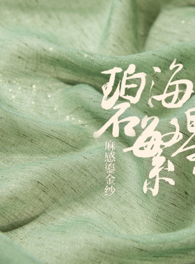 夏季绿色纱d帘阳光房窗纱鎏金工艺垂感金丝飘逸高档飘窗客厅窗帘