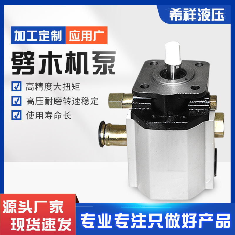 树墩劈木机泵 卧式劈木机泵 10GPM11GPM12GPM13GPM16GPM