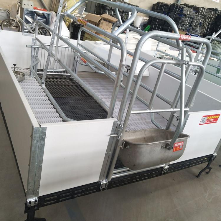 双体欧式养猪床饲喂猪栏供应猪床厂家畜牧设备