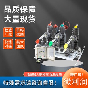 630A 25戶外高壓真空斷路器10kv永磁單機構柱上分界開關 12M ZW32