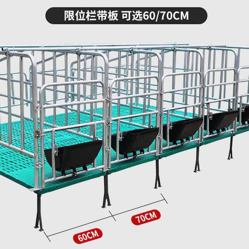 母猪产床保育两用落地式母猪限位栏定位栏复合板产床养殖设备加厚