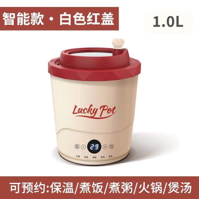 小家用小锅小型学生锅锅一人用宿舍电锅电煮泡面电饭锅迷你多功能