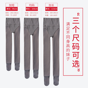 小个子灰透肤连裤 女秋冬一体加绒加厚丝袜150cm 袜145矮个子打底裤