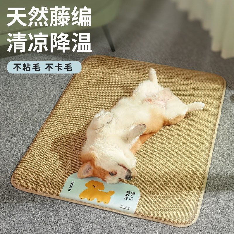 狗狗凉席宠物夏天睡垫猫咪凉垫狗垫子睡觉用狗窝地垫夏季降温冰垫,宠物/宠物食品及用品,猫狗垫子,淘宝优惠券,粉丝福利购,淘宝优惠卷