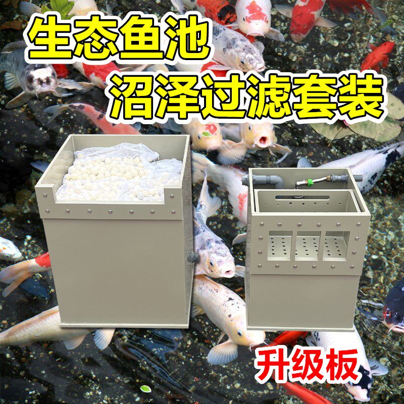 锦鲤鱼池生态沼泽过滤箱树t叶收集水泵箱庭院隐藏溪流培菌净水过