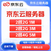 京东云服务器电商独立ip服务器店群轻量服务器电商网站游戏云主机