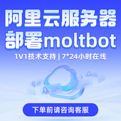 moltbot阿里云快速部署安装 服务器轻量云主机天翼云远程电商网站