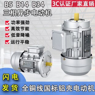 YS8014 YS8024 YS8034全铜线三相异步马达380V交T流铝壳电机750W