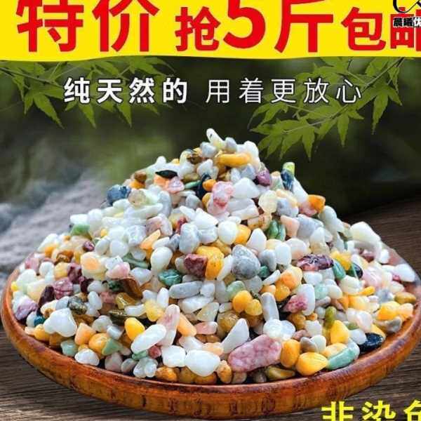 ll铺在花盆上的石子白玉兰花种花铺面石养花彩色小陶粒花雨石