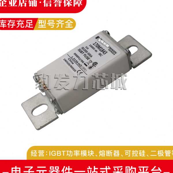 170M1842/1843/1844/1845/1846/1847/1848/1849/1850-1853熔断器