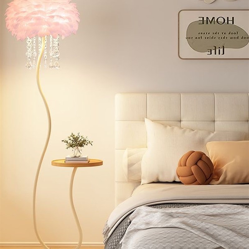 羽毛落地灯客厅沙发边卧室床头灯奶油H风网红氛围感全光谱茶几台