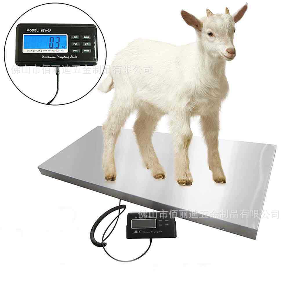 不锈钢体重秤动物称宠物秤电子秤100/200/300/500kg