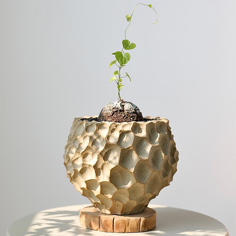 日式陶瓷花盆块根兰花景多气肉蝴蝶兰透盆栽陶盆带托盘粗盆陶XWL0