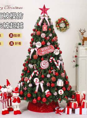2025圣诞节新款圣诞树仿真件is风装图润家装n摆饰di挂件套餐大型y