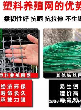 塑料围网养殖防鸭家护拦鸡胶网菜园玉米护KWI栏栅栏户外养鸡用围