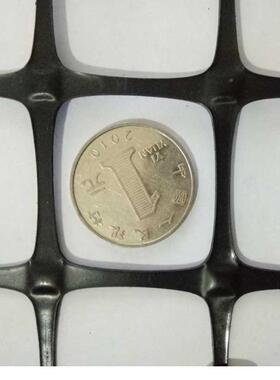 黑色丙烯PP土工格栅工围程路基加固IWY养殖圈地玉米外网户聚拦鸡