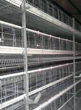 设鸡笼子舍鸡养殖小层叠全自动蛋鸡笼喂自料鸡舍CEU动捡蛋集蛋鸡