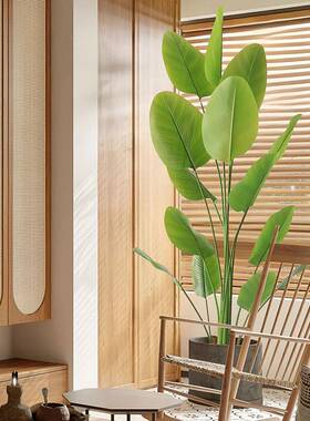 升级胶片叶雪茄竹栽芋盆客厅大北型落盆栽仿FZS-9178真绿植欧装饰